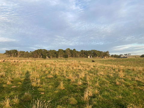 Cherry Tree - Merigan Farm Stay - Events Australia 2