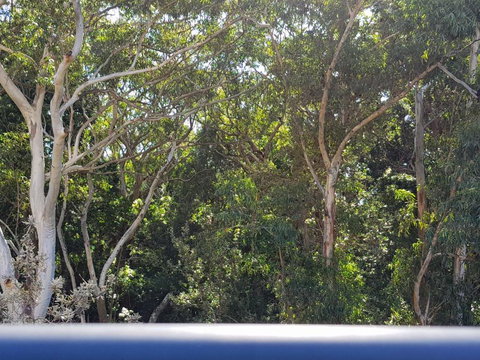 CHILL-OUT BEACHSIDE - Main Beach Forster - Events Australia 1