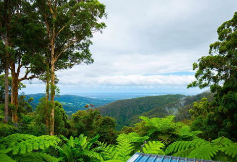 CLOUD 9 - Cliff Top Eagle Heights - Events Australia 3