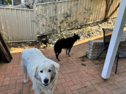 Coastal Calm Entire Top Floor Of House Private Entrance And Ammenities - Events Australia 2