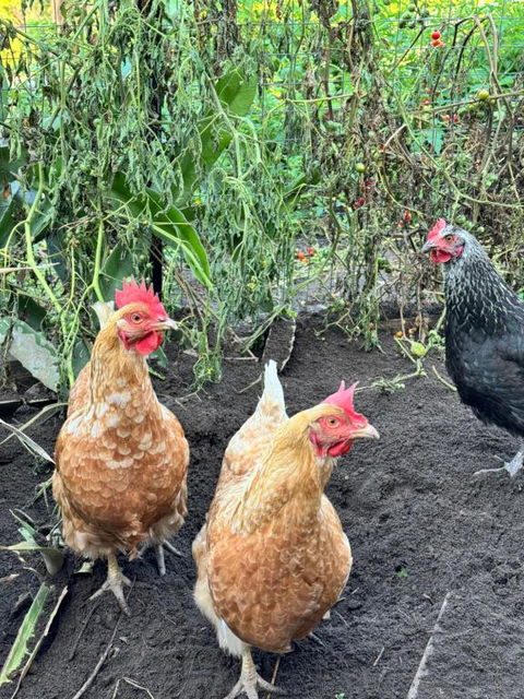 Coastal Calm Entire Top Floor Of House Private Entrance And Ammenities - Events Australia 1