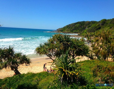 2BR Coolum Beachfront , 180 Views , Wine, Netflix - Tourism Bookings 1