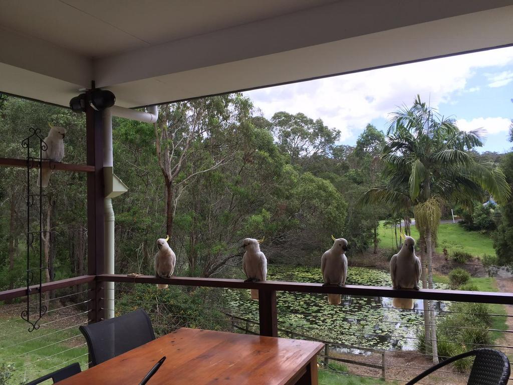 Upper Coomera QLD Tourism Bookings