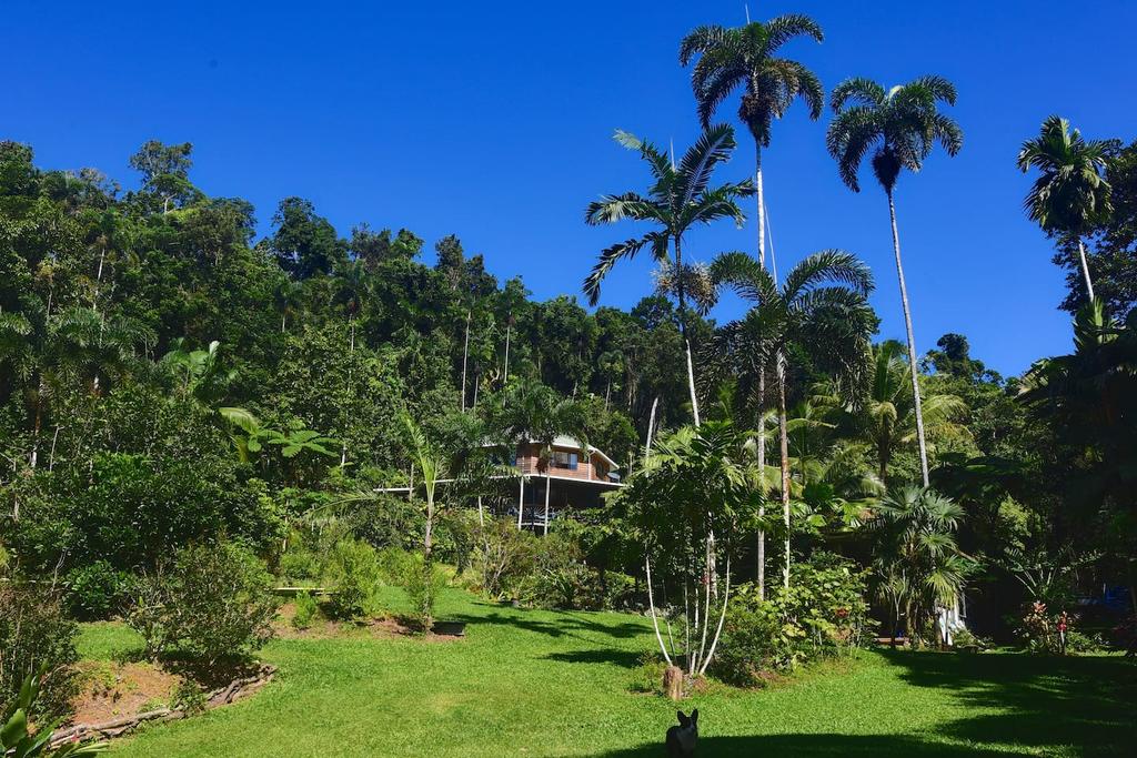 Diwan QLD Tourism Bookings