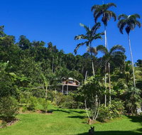A Daintree Garden - Tourism Bookings