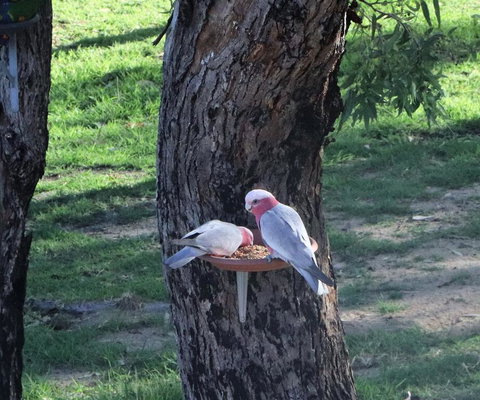 A Stanthorpe Getaway - Events Australia 2