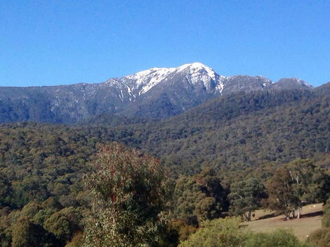 A View To A Hill - Tourism Bookings 2