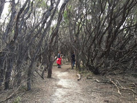 Aashay B&B - Events Australia 3