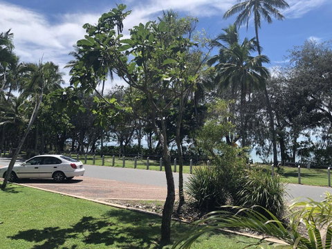 Absolute Beachfront - Tourism Bookings 3