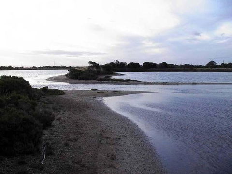 Absolute Waterfront - Events Australia 1