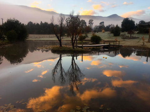 Acheron Acres Riverside - Events Australia 2