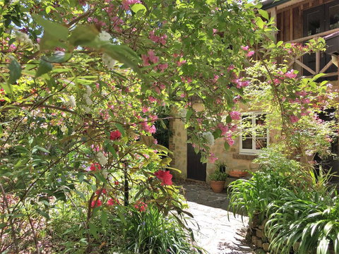 Adelaide Hills 'Camellia Cottage' - WiFi - Events Australia 2