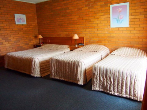 Essendon Motel - Tourism Bookings 4