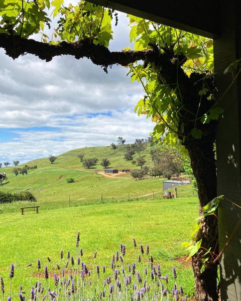 Elevation652 At Mt Bellevue In King Valley - Tourism Bookings 2