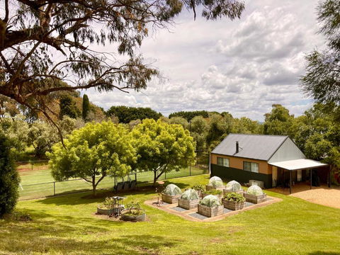 Elevation652 At Mt Bellevue In King Valley - Tourism Bookings 1