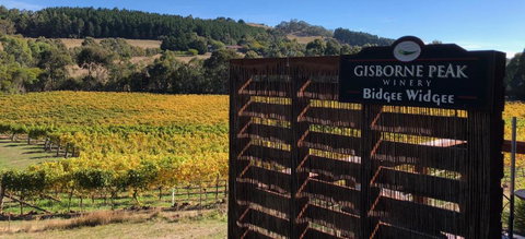 Gisborne Peak Winery Short Term Stays - Events Australia 0
