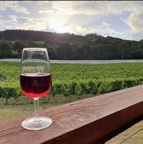 Gisborne Peak Winery Short Term Stays - Events Australia 3