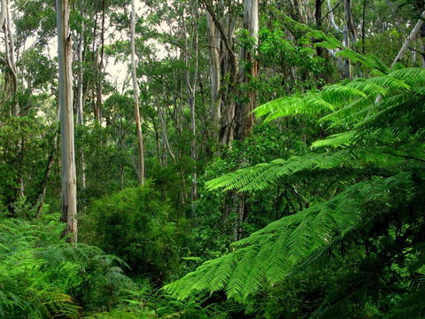 Glenaire Cottages - Events Australia 3