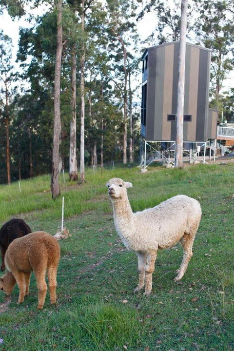 Gold Coast Tree Houses - Events Australia 1