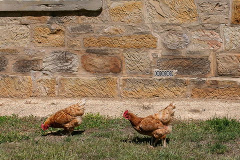 Historic Sandstone Ross Farmhouse - Events Australia 2