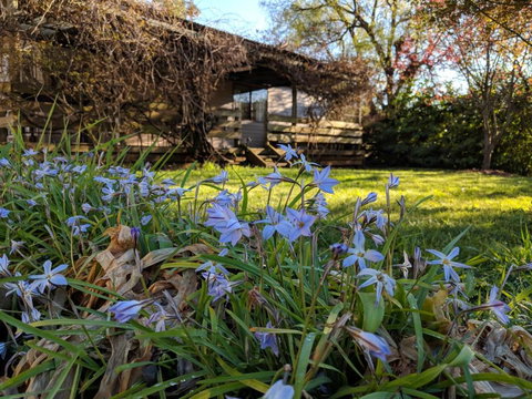 Alexander Cottage - Events Australia 3