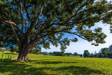 All About Me B & B - Events Australia 2