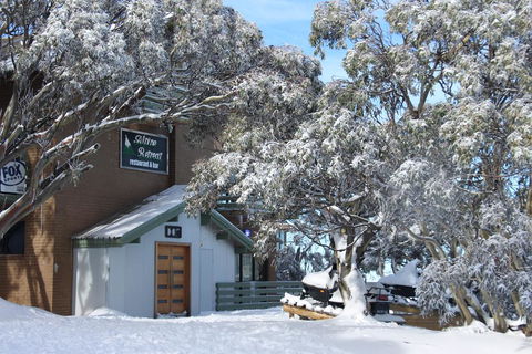 Alpine Retreat Mt Buller - Accommodation Europe 0