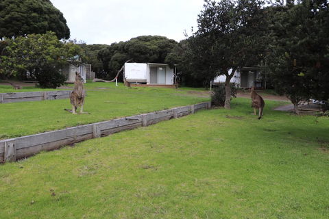Anglesea Family Caravan Park - Events Australia 3