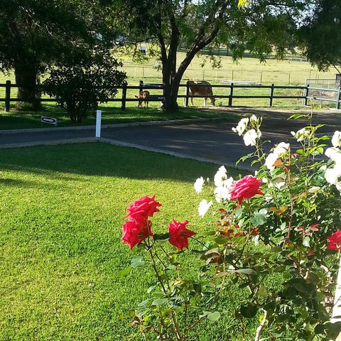 Appin Homestay B & B - Events Australia 3