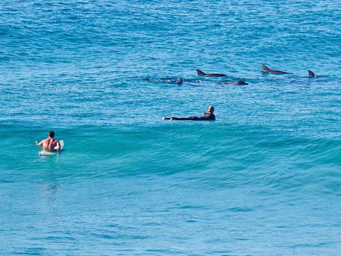 Aquarius Apartment 9 - Events Australia 1