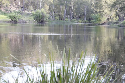 Arcadian Cabin - Southern Highlands River Retreat - Tourism Bookings 0