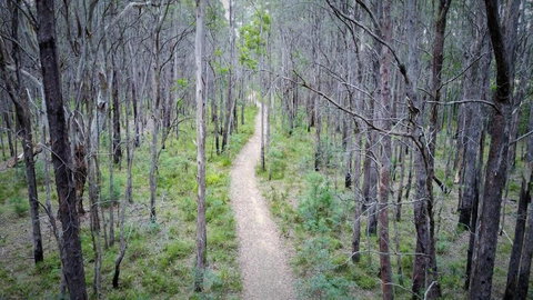 Lynden Cottage - Built 1884 In The Heart Of Town - Events Australia 2