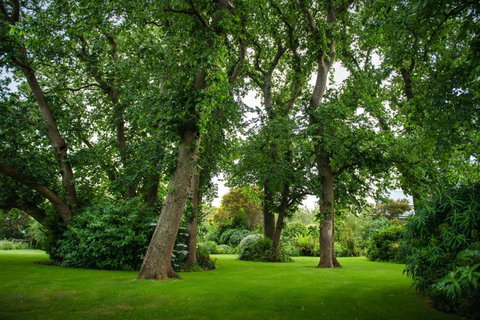 Mallavale Farm, Boat Harbour - Accommodation Europe 2