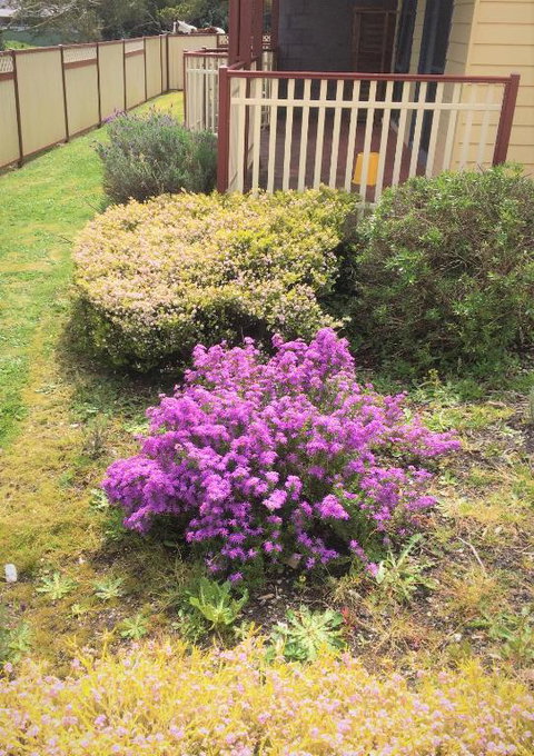 Marsden Court Apartments Now Incorporating Marsden Court And Sharonlee Strahan Villas - Accommodation Europe 2