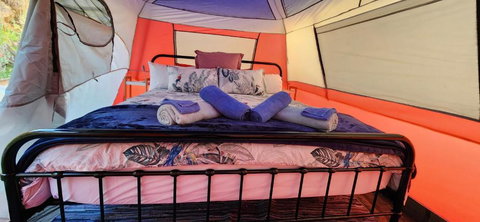 Meyenburg Camper - Events Australia 2