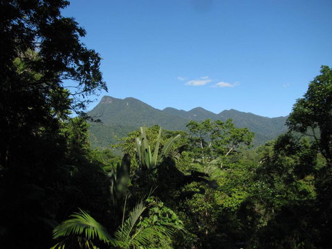 Mossman Gorge Bed And Breakfast - Events Australia 0