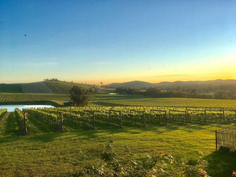 Mount Hope Estate Vineyard - Tourism Bookings 0