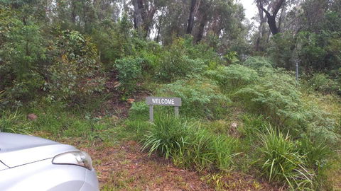 Mountain Tranquility - Tourism Bookings 3