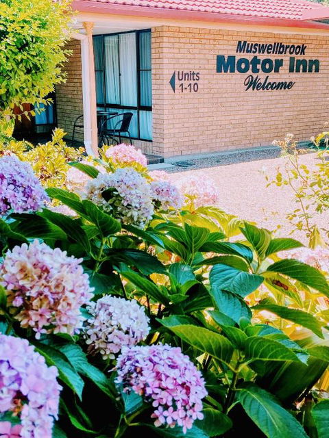 Muswellbrook Motor Inn - Tourism Bookings 0