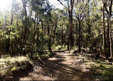 Northfield Boutique Apartments - Events Australia 1