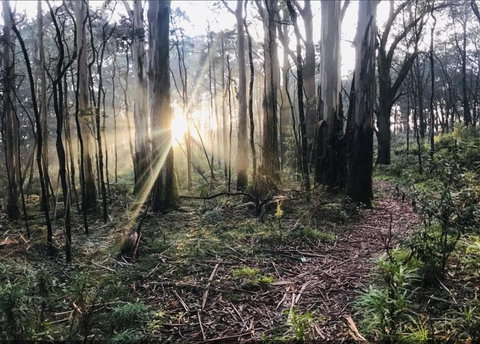 Northfield Boutique Apartments - Events Australia 2