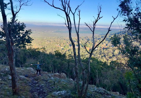 Northfield Boutique Apartments - Events Australia 3