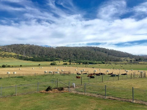 Old Entally Farm - Events Australia 1