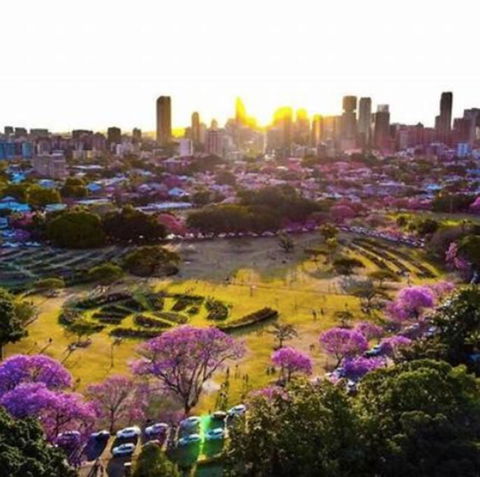 Perfect Haven In Spring Hill 2B1B And Parking - Events Australia 2