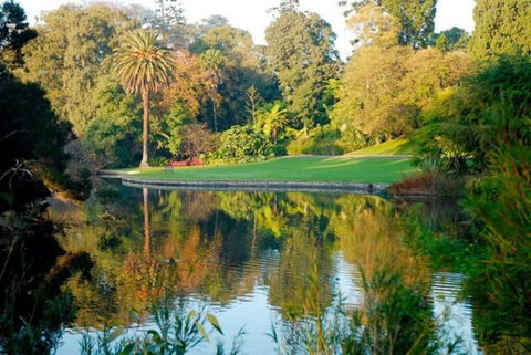 Perfect Parkside Princess Hill Retreat Sleeps 6 - Tourism Bookings 2