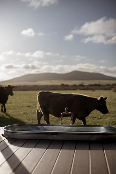 Peter The Tiny Cabin In Esperance - Events Australia 1