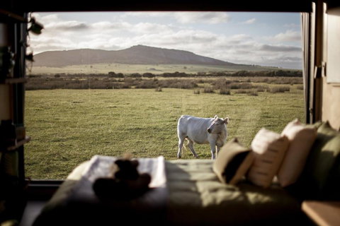 Peter The Tiny Cabin In Esperance - Events Australia 0