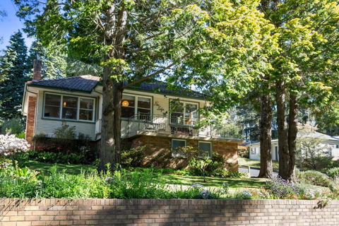 Pine Lodge - Tourism Bookings 0