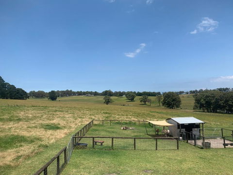 Platform One - Events Australia 3