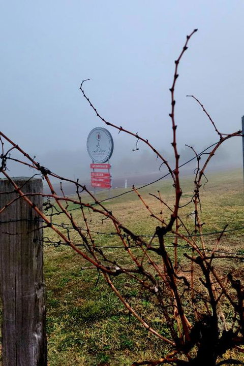 Red Door Collective - RDC Vineyard Estate, Luxury Adult Only Stay - Events Australia 3